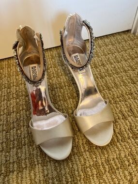 Badgley Mischka wedding / occasion shoes size 7.5